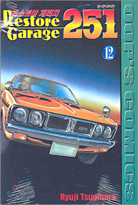  251 Restore Garage 251 (12)