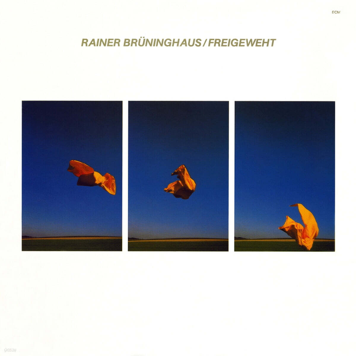 Rainer Bruninghaus (라이너 브뤼닝하우스) - Freigeweht [LP]