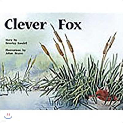 Clever Fox: Leveled Reader Bookroom Package Yellow (Levels 6-8)