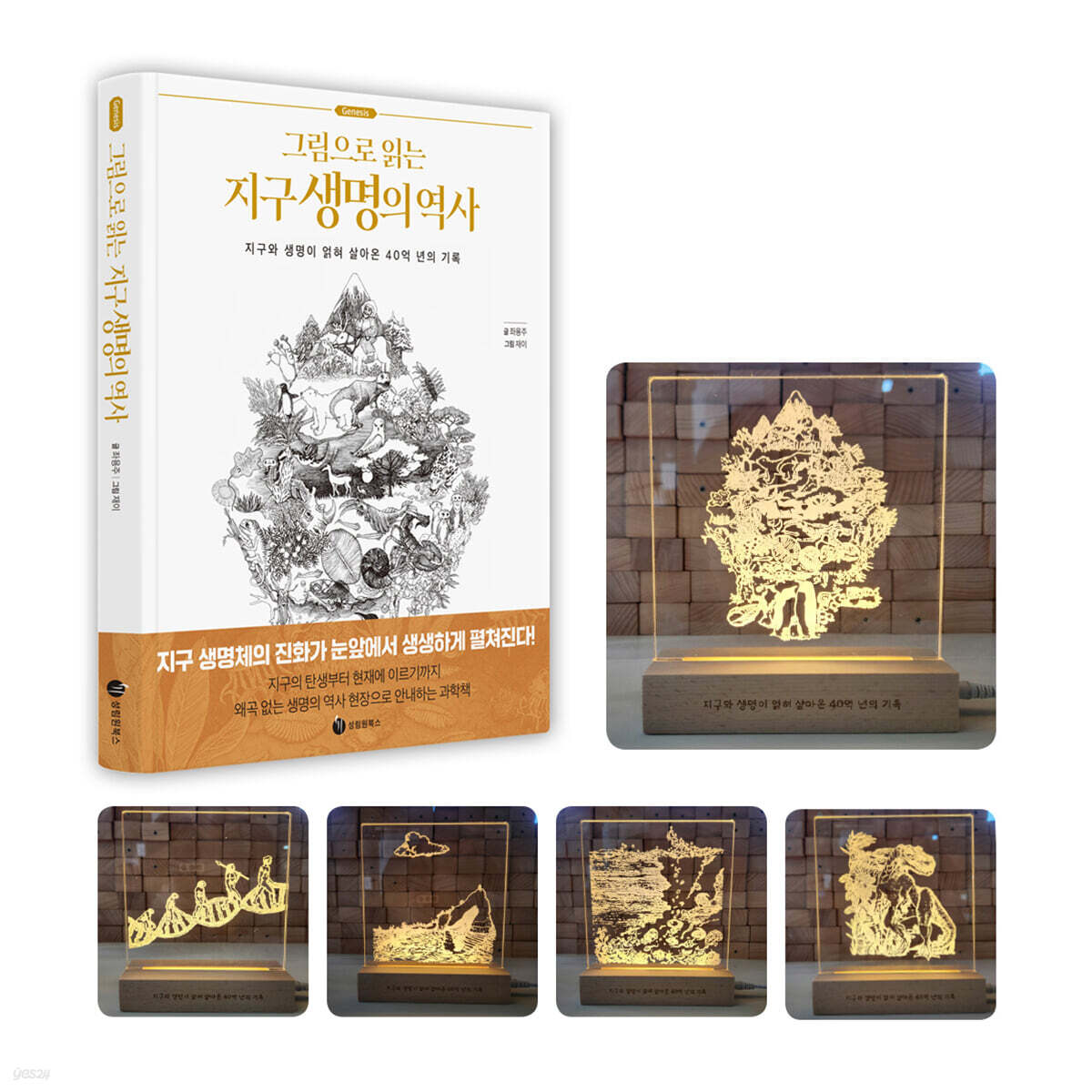 그림으로 읽는 지구 생명의 역사 도서 무드등 세트