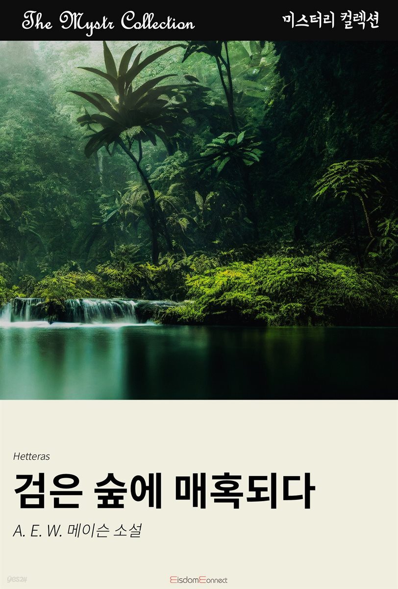 검은 숲에 매혹되다