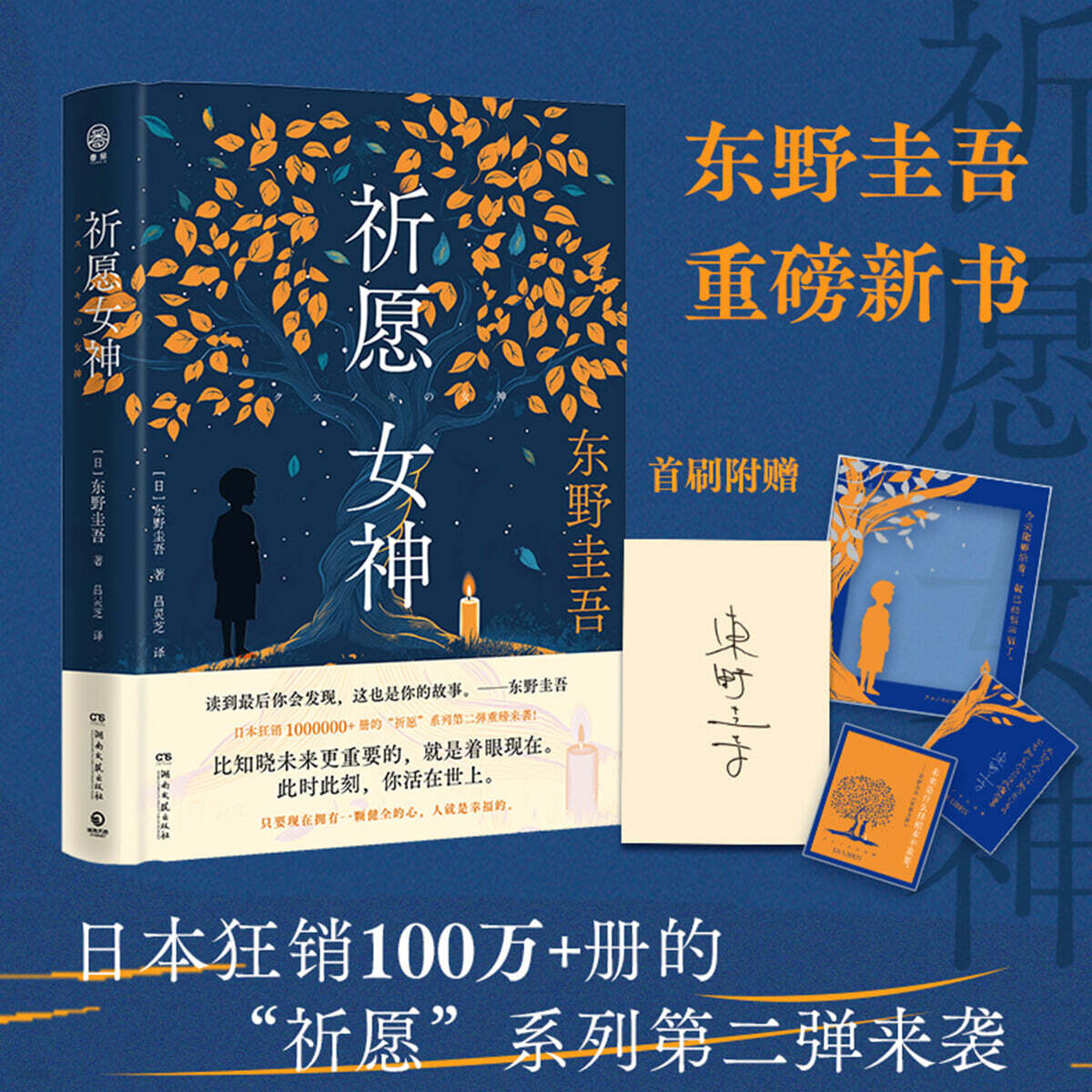 기원여신 祈願女神 히가시노 게이고（盧思浩×殺蟲隊隊員×紫金陳推薦，首發限量贈印簽+藏書票+透卡，東野圭吾重磅新書，繼《解憂雜貨店》后又一奇幻治癒力