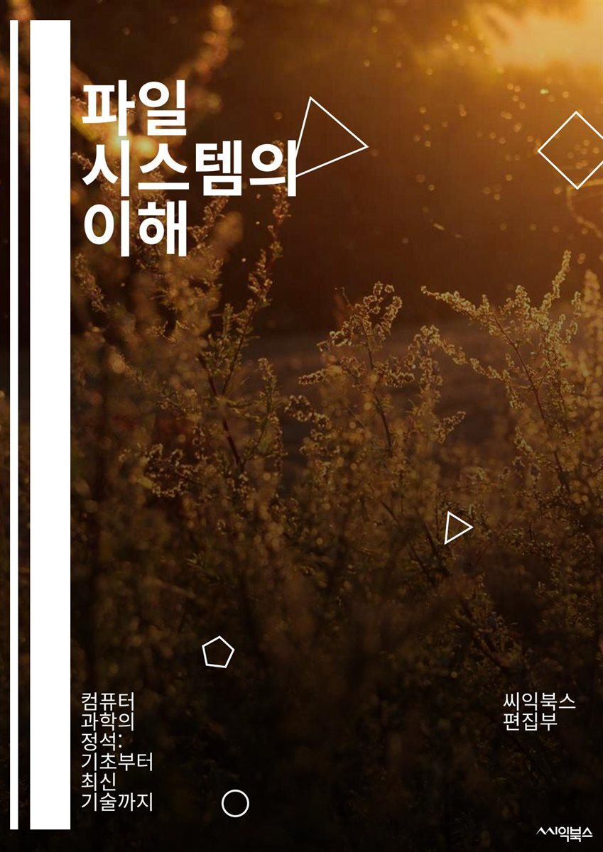 [전자책] 파일 시스템의 이해 - 파일 시스템, 데이터 저장, 디스크 관리, 블록 구조, 파일 관리, 메타데이터, 접근 속도, 파일  포맷, 디렉토리 구조, 캐시, RAID, 백업, 복구, NTFS, FAT32, ext4, 성능 최적화, 데이터 무결성 | 씨익북스  편집부 ...