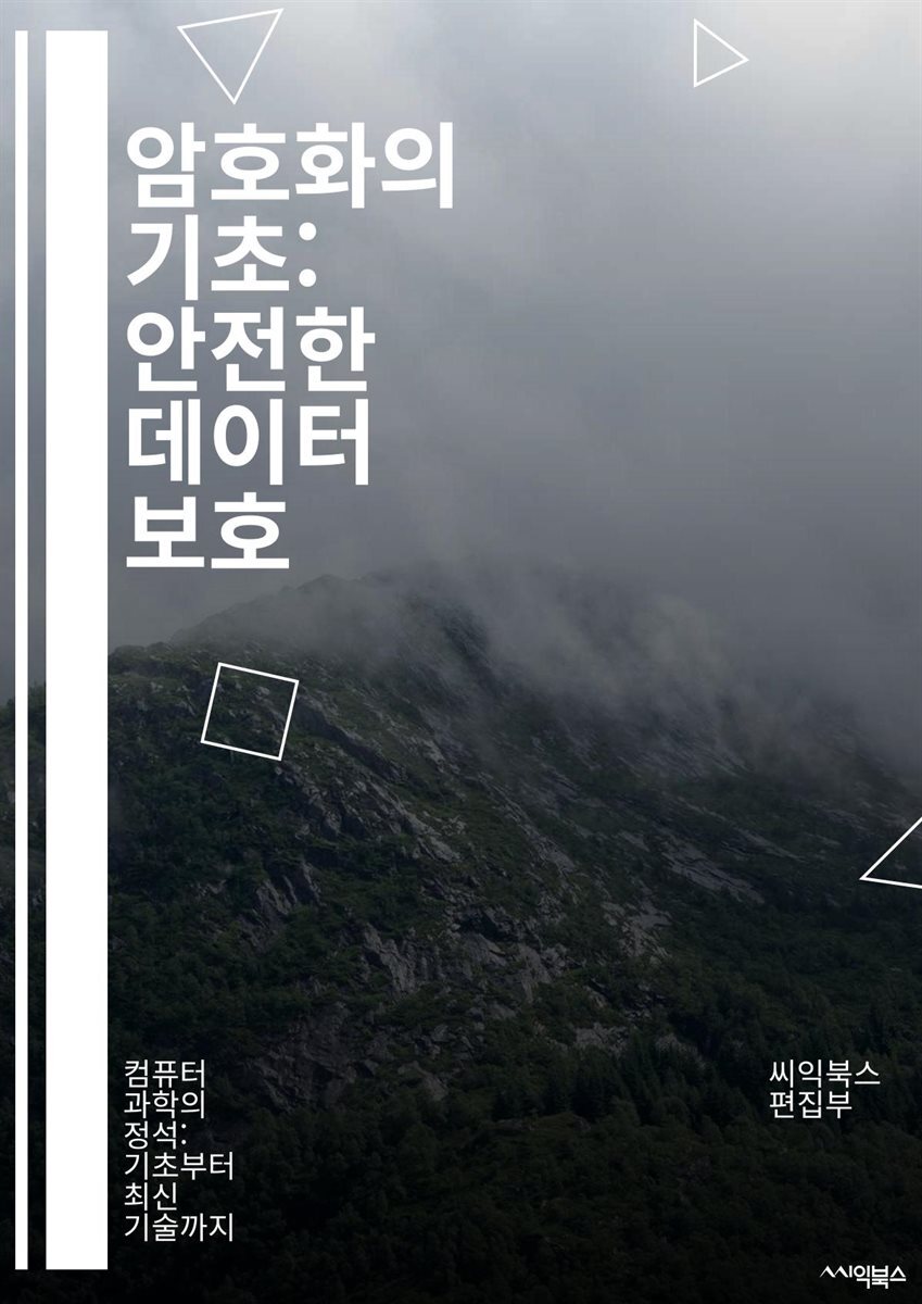 전자책] 암호화의 기초: 안전한 데이터 보호 - 대칭키, 비대칭키, 해시함수, TLS, SSL, 공개키, 개인키, 데이터 보안, 암호  해독, 키 관리, 인증, 전자서명, 블록체인, 암호 알고리즘, AES, RSA, 보안 프로토콜, 사이버 보안 |