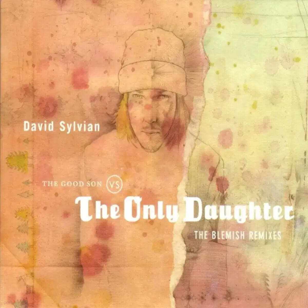 David Sylvian (데이비드 실비안) - The Good Son Vs. The Onl [LP]