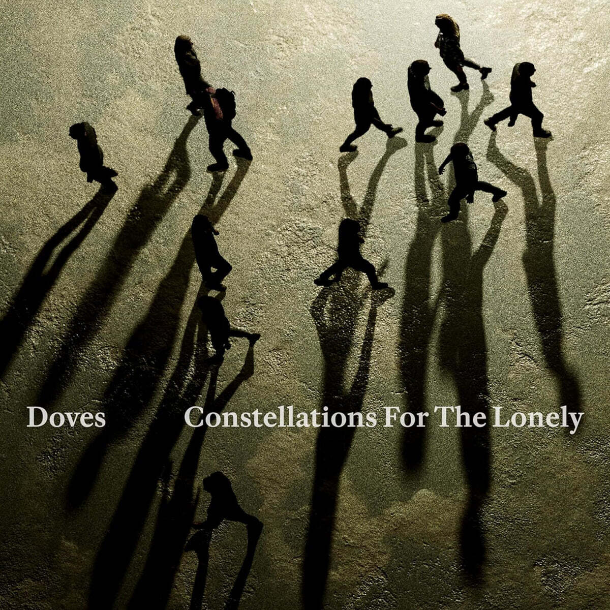 Doves (도브스) - Constellations For The Lonely [LP]