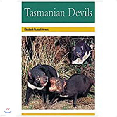 Tasmanian Devils: Leveled Reader Bookroom Package Gold (Levels 21-22)