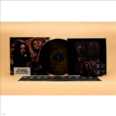 Sharon Van Etten — Sharon Van Etten & The Attachment Theory (US Indie Exclusive) 앨범 커버