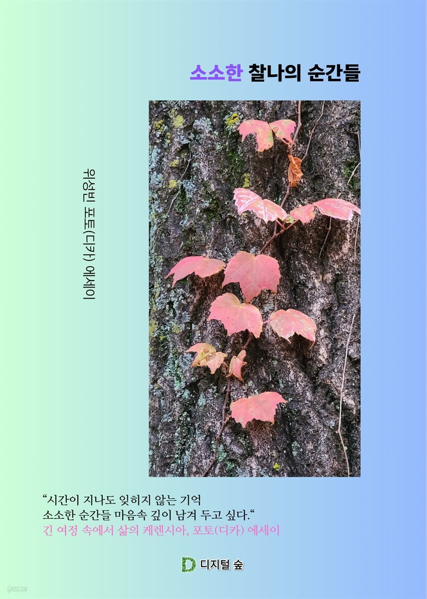 소소한 찰나의 순간들