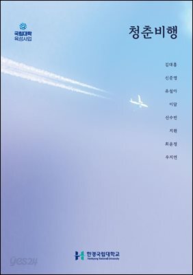 청춘비행