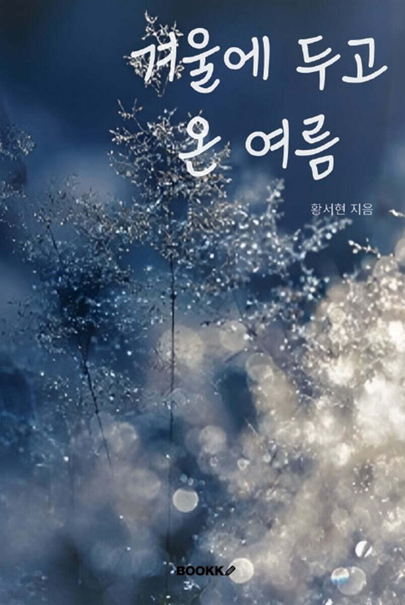 겨울에 두고 온 여름