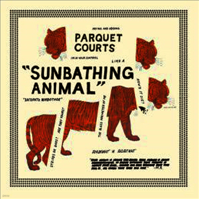 Parquet Courts — Sunbathing Animal (Bonus Track) 앨범 커버