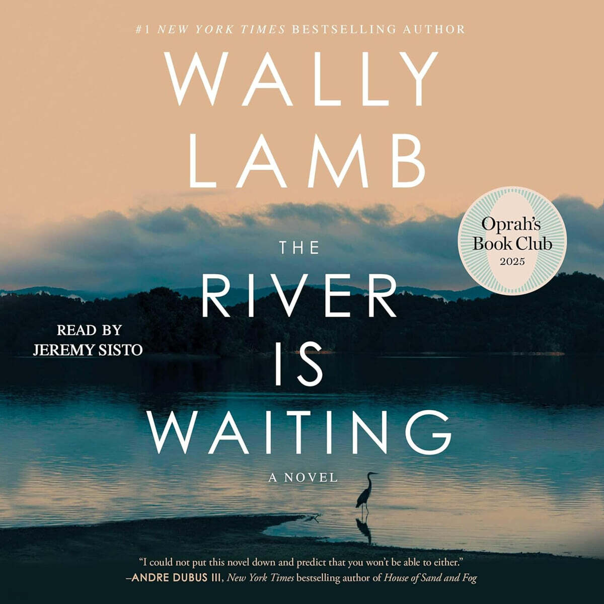 The River Is Waiting (Oprah's Book Club)