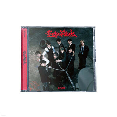 &TEAM (앤팀) - 3rd SINGLE 'Go in Blind' STANDARD EDITION