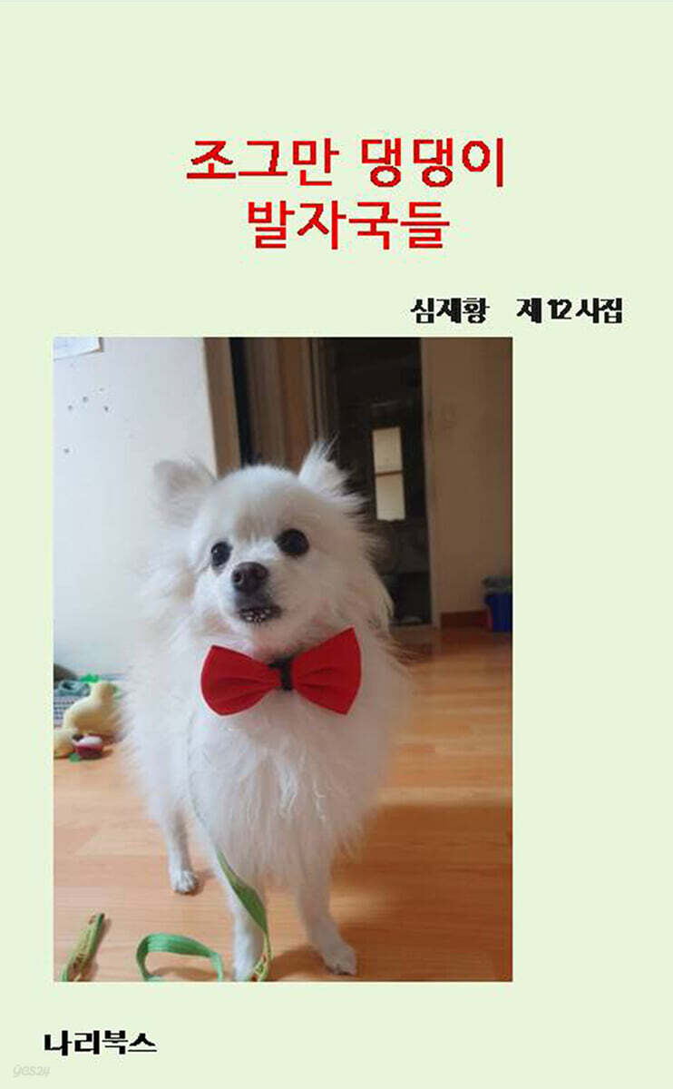 조그만 댕댕이 발자국들