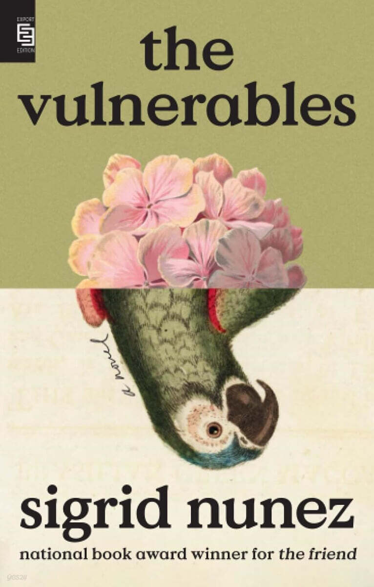The Vulnerables