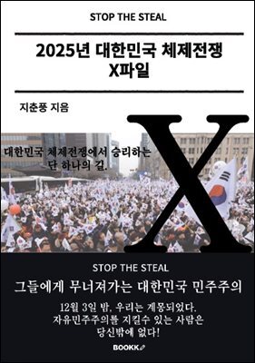 2025년 대한민국 체제전쟁 X파일