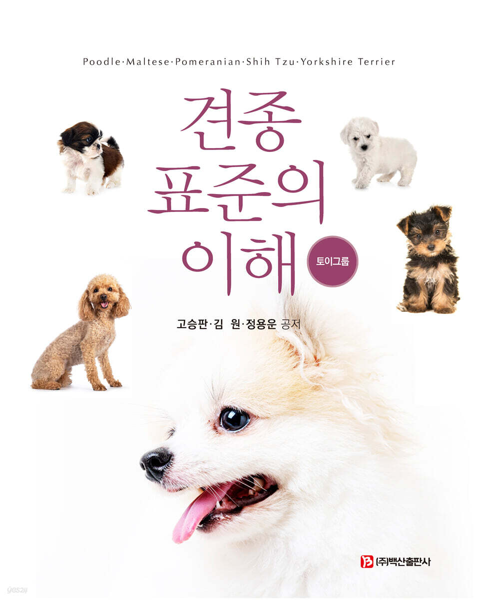 견종 표준의 이해