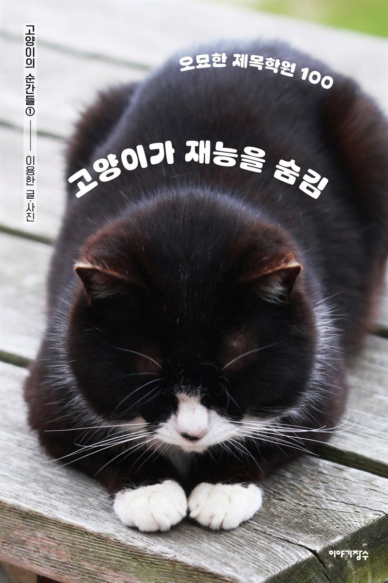 고양이가 재능을 숨김