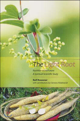 The Light Root