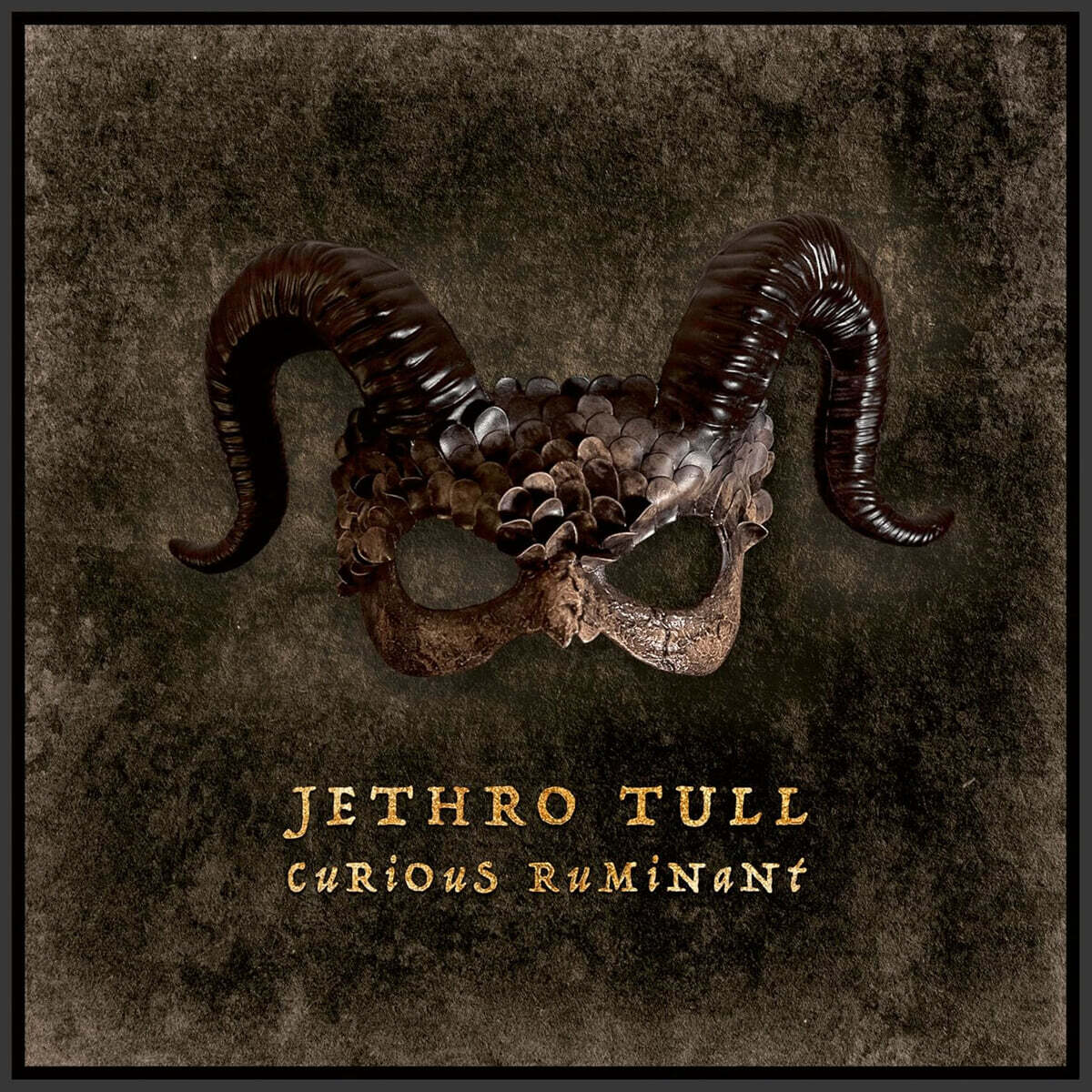 Jethro Tull (제스로 툴) - Curious Ruminant [LP]