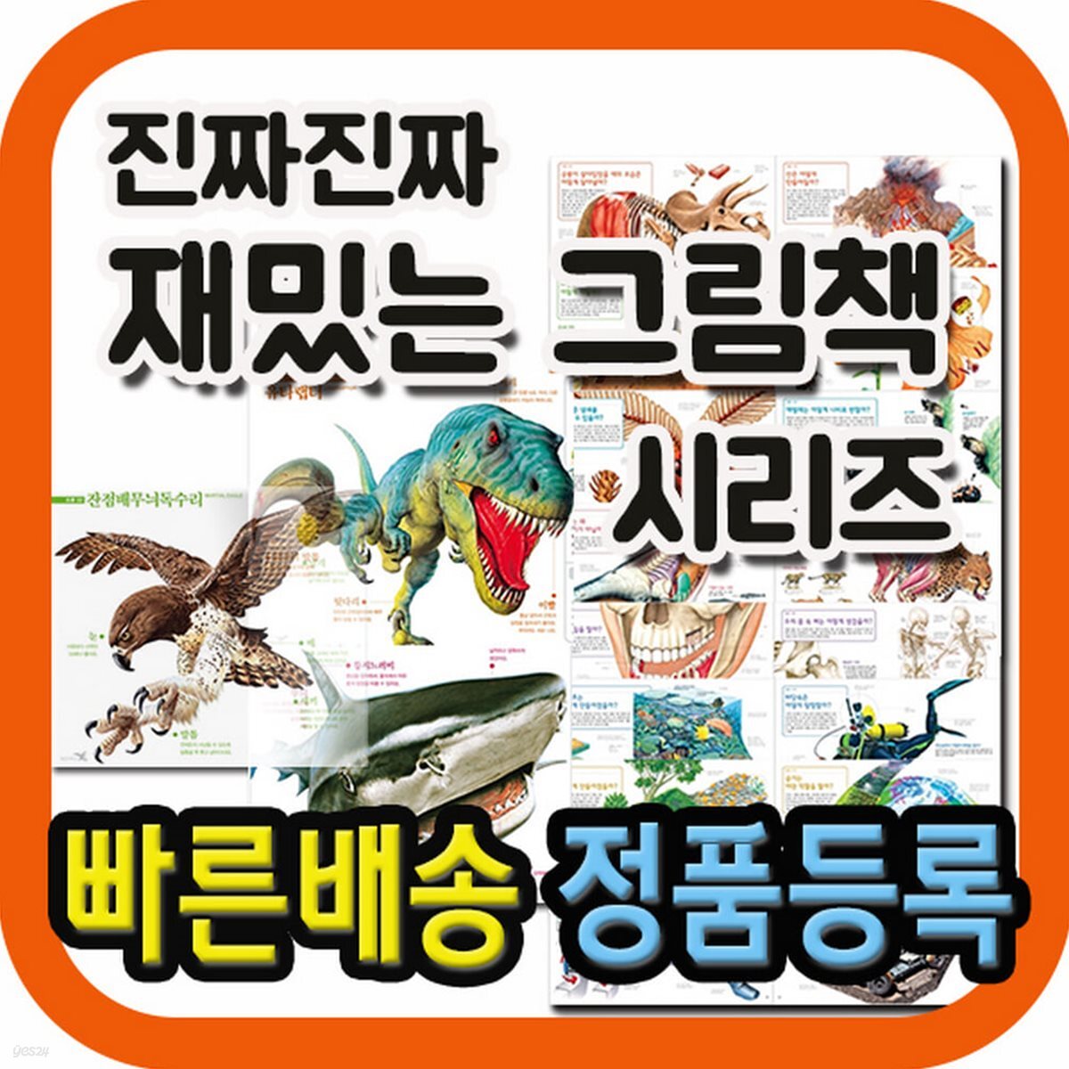 진짜진짜 재밌는 그림책