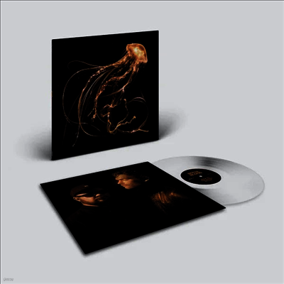 Royal Blood — Back To The Water Below (US Indie Exclusive) 앨범 커버