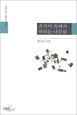 조가비 속에서 자라는 나무들