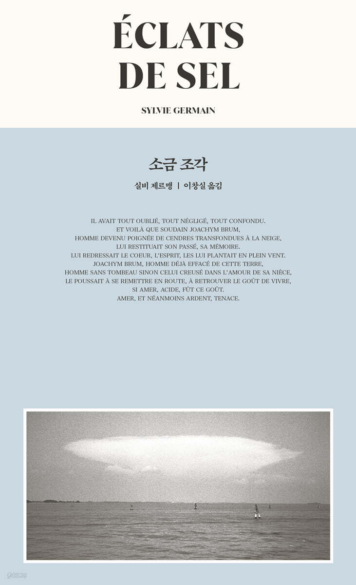소금 조각
