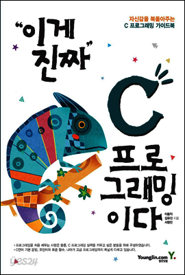 이게 진짜 C 프로그래밍이다