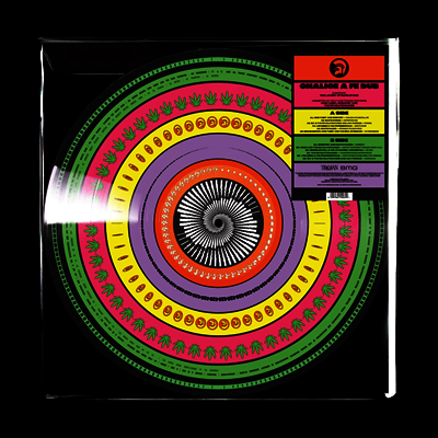 Various Artists — Reggae & Ska Sampler: Chalice A Fe Dub 앨범 커버