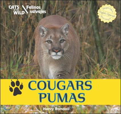 Cougars / Pumas