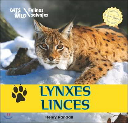 Lynxes / Linces