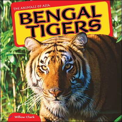 Bengal Tigers