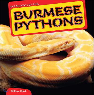 Burmese Pythons