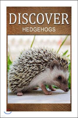 Hedge Hogs - Discover: Early reader's wildlife photography book