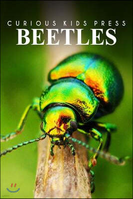 Beetles - Curious Kids Press: Kids book about animals and wildlife, Children's books 4-6