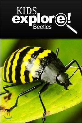 Beetles - Kids Explore: Animal books nonfiction - books ages 5-6