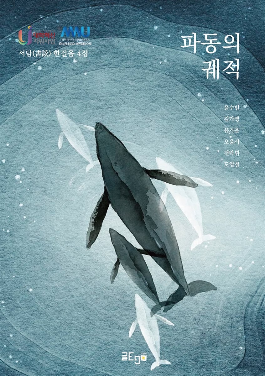 파동의 궤적