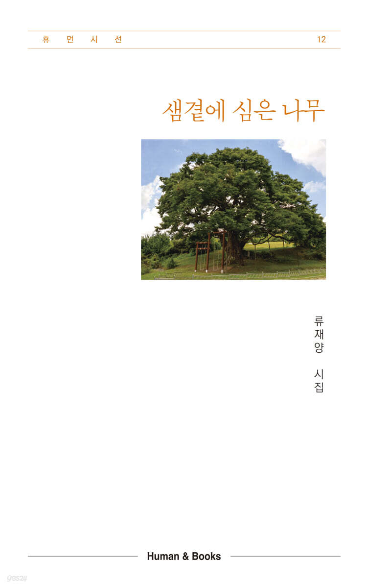 샘곁에 심은 나무