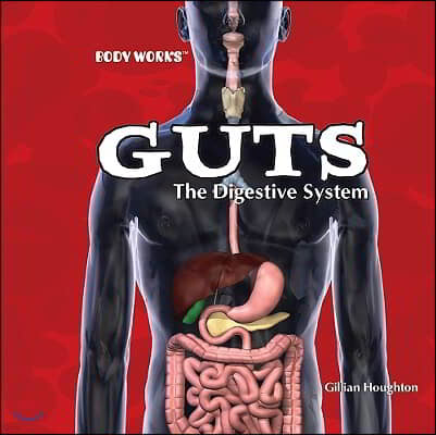 Guts: The Digestive System