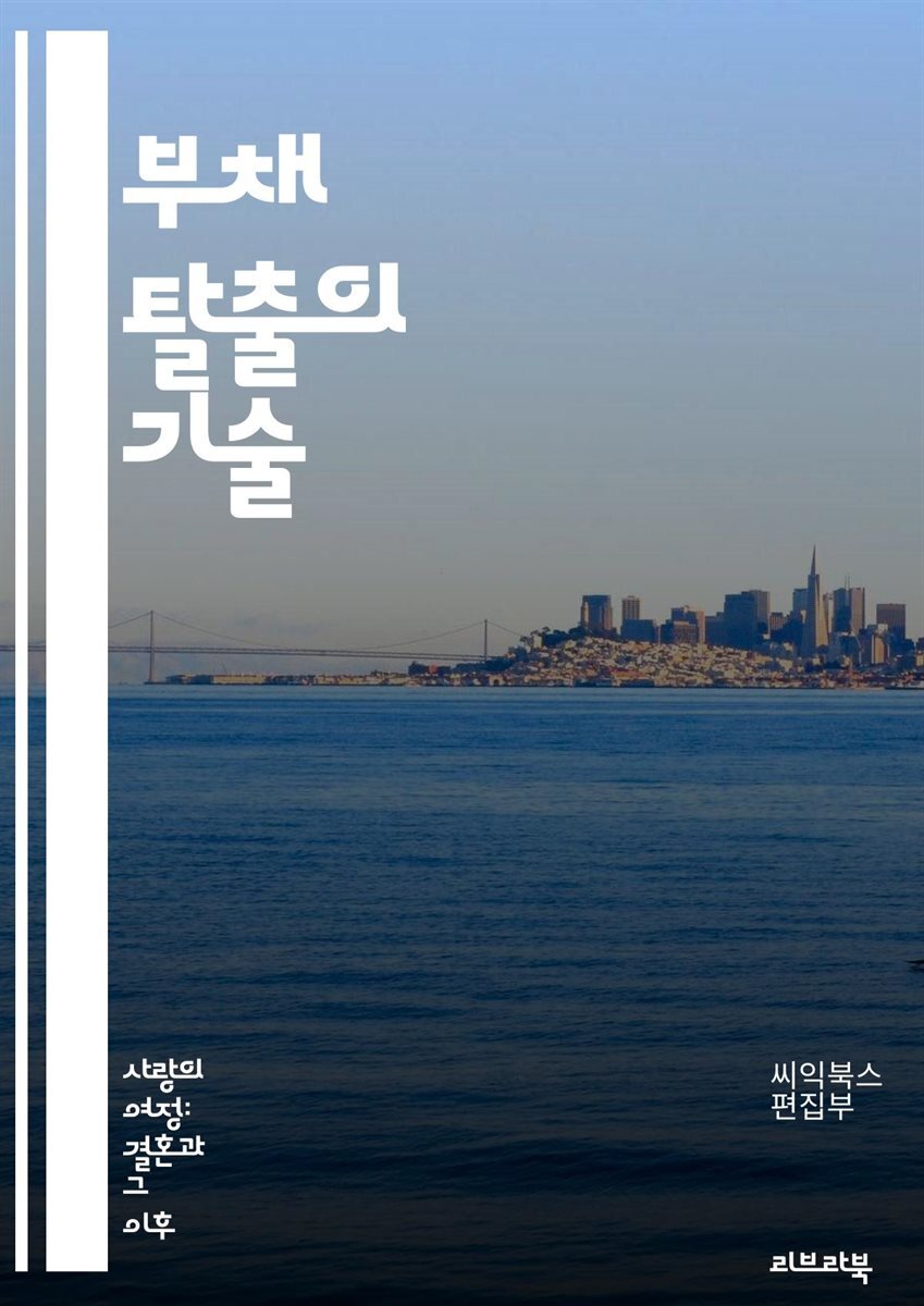 부채 탈출의 기술 - 부채 관리, 재정 계획, 예산 수립, 신용 점수, 이자율, 상환 전략, 금융 교육, 절약, 소비 습관, 투자, 현금 흐름, 재무 목표, 긴급 자금, 대출 종류, 신용 카드, 개인 금융, 재정 상담, 부채 통