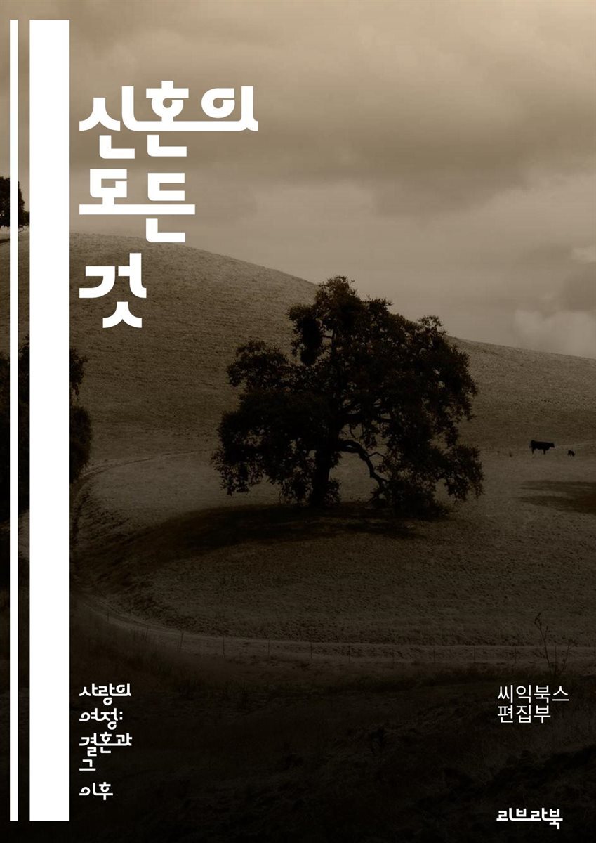 신혼의 모든 것 - 신혼, 초보, 부부, 커뮤니케이션, 갈등, 재정, 가사 분담, 사랑, 신뢰, 가치관, 계획, 시간 관리, 취미, 여행, 가족, 친구, 성격, 기대, 조율, 성장, 감정, 지원, 배려, 행복, 일상