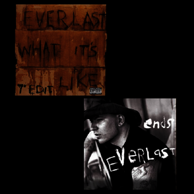 Everlast — What It's Like/Ends (7" Single) 앨범 커버