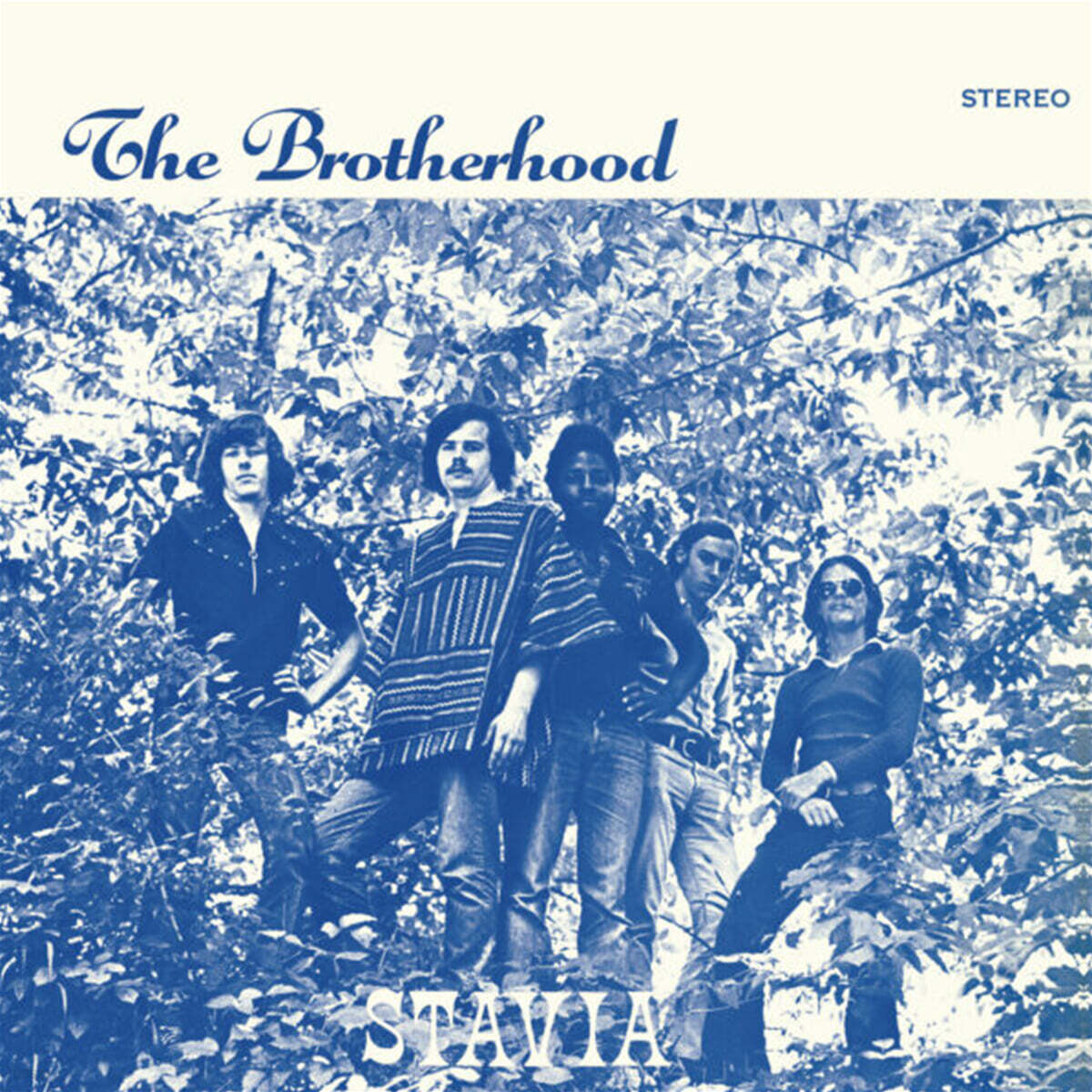 The Brotherhood (더 브라더후드) - Stavia