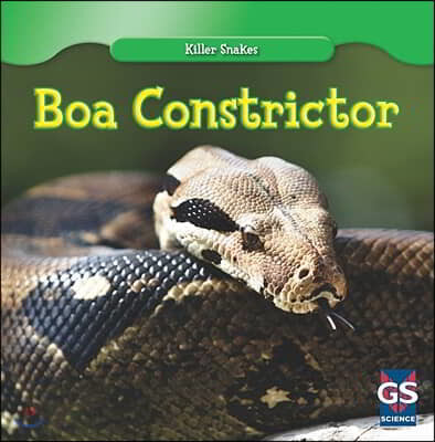 Boa Constrictor