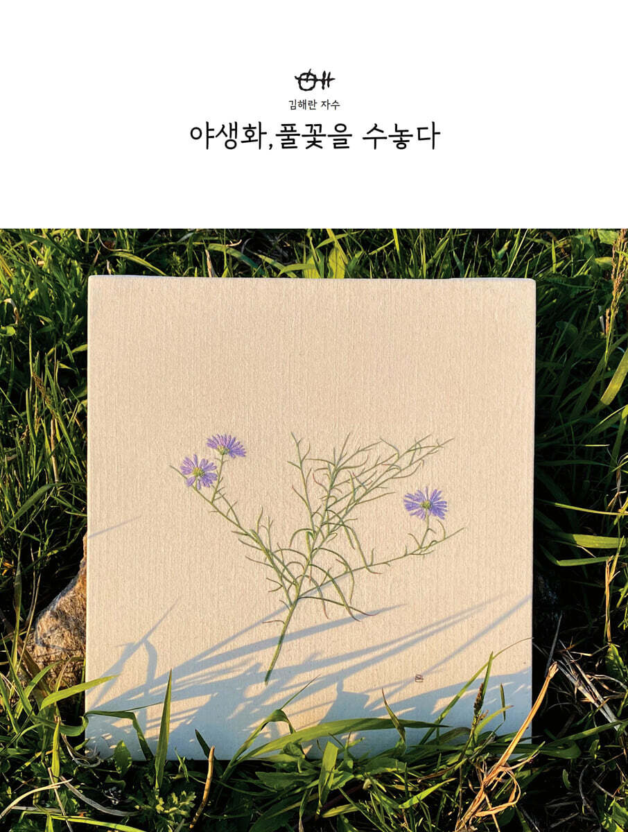 야생화, 풀꽃을 수놓다