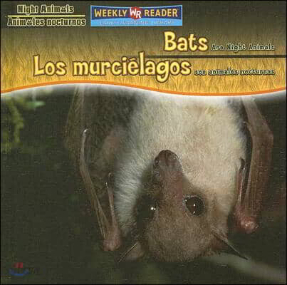 Bats Are Night Animals / Los Murciélagos Son Animales Nocturnos