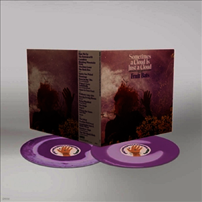 Fruit Bats — Sometimes A Cloud Is Just A Cloud 앨범 커버