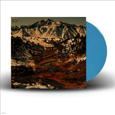 Will Sheff — Nothing Special (US Indie Exclusive) 앨범 커버